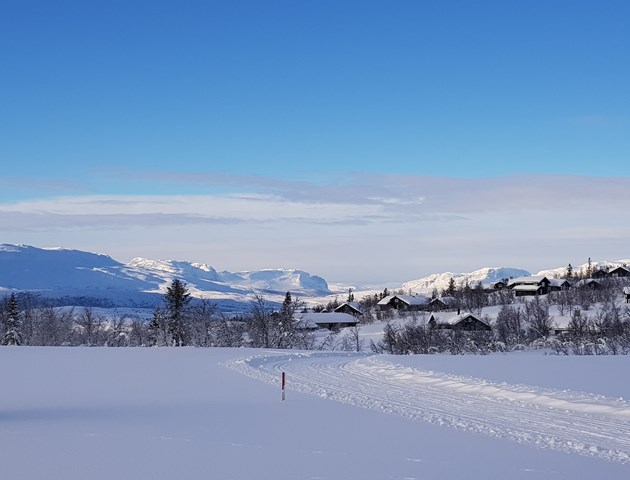 Vinter - skiløype ved hyttefeltet