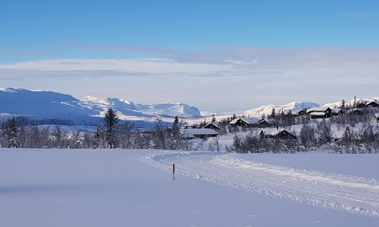 Vinter - skiløype ved hyttefeltet